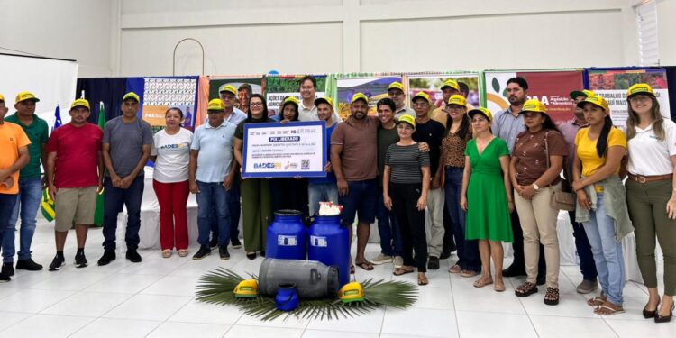 Badespi libera mais de R$ 271 mil para fortalecer a cadeia leiteira no Piauí