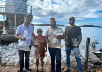 Semarh realiza peixamento com soltura de 100 mil alevinos na Barragem Mesa de Pedra em Valença do Piauí