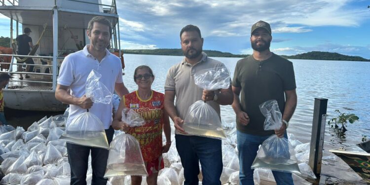 Semarh realiza peixamento com soltura de 100 mil alevinos na Barragem Mesa de Pedra em Valença do Piauí