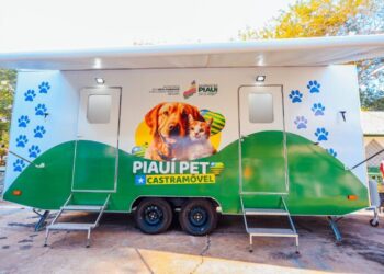 Castramóvel chega ao bairro Saci e reforça ações de controle populacional de animais em Teresina