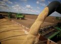 Balança Comercial do Piauí registra superávit de R$ 573 milhões no mês de abril