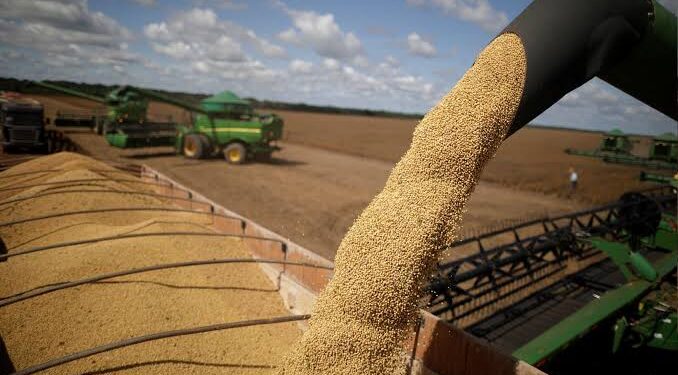 Balança Comercial do Piauí registra superávit de R$ 573 milhões no mês de abril