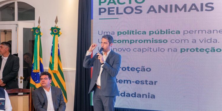 Governo do Piauí lança Pacto pelos Animais que prevê 20 mil castrações, combate a maus‑tratos e ações integradas em todos os municípios