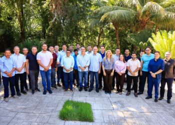 Ciro Nogueira recebe vereadores de Teresina e tratam de projetos