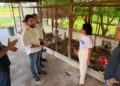 Com Wellington Dias, Piauí lança cooperativa para fortalecer a agricultura familiar