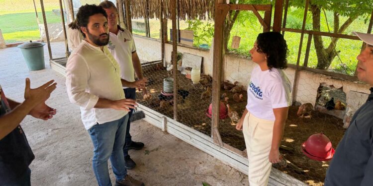 Com Wellington Dias, Piauí lança cooperativa para fortalecer a agricultura familiar